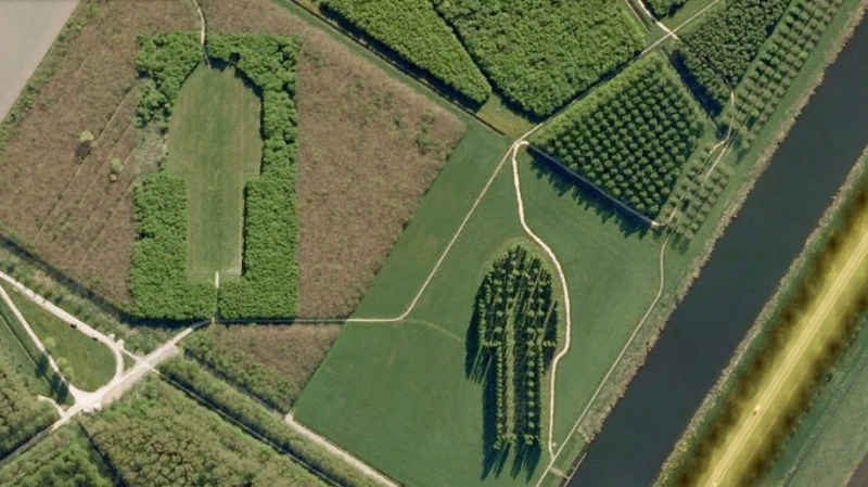 Illustration for article titled Behold These Incredible Works Of Architecture Made Out Of Living Trees